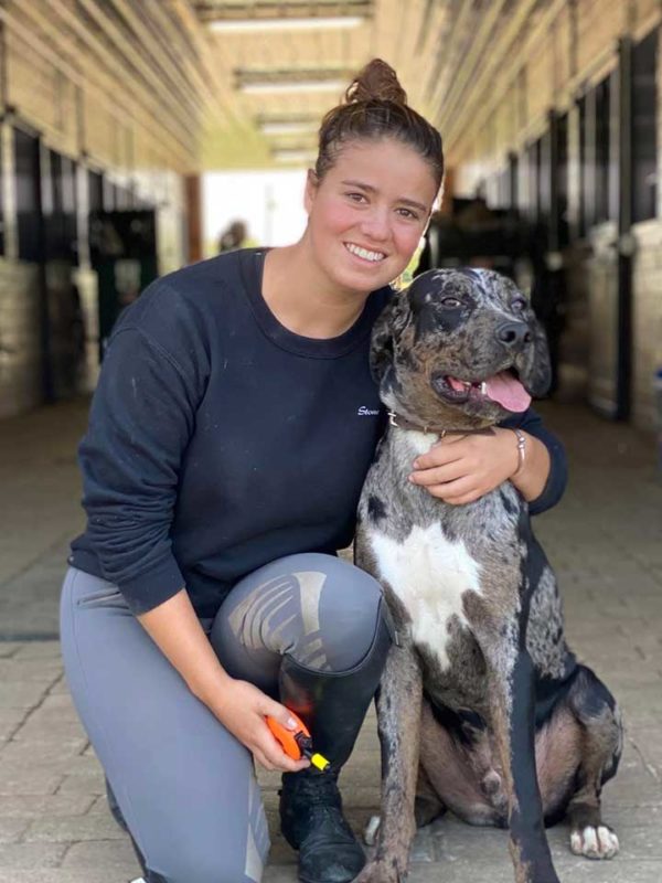 Lexington KY Dog Trainers Dog Obedience Training