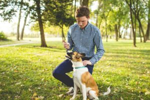 A Weekly Training Routine for Adolescent Dogs Without Burning Yourself Out