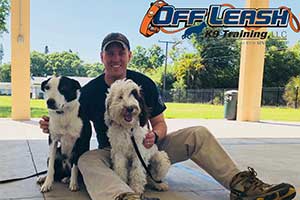 Chip Gray — Off Leash K9 Training of Lexington
